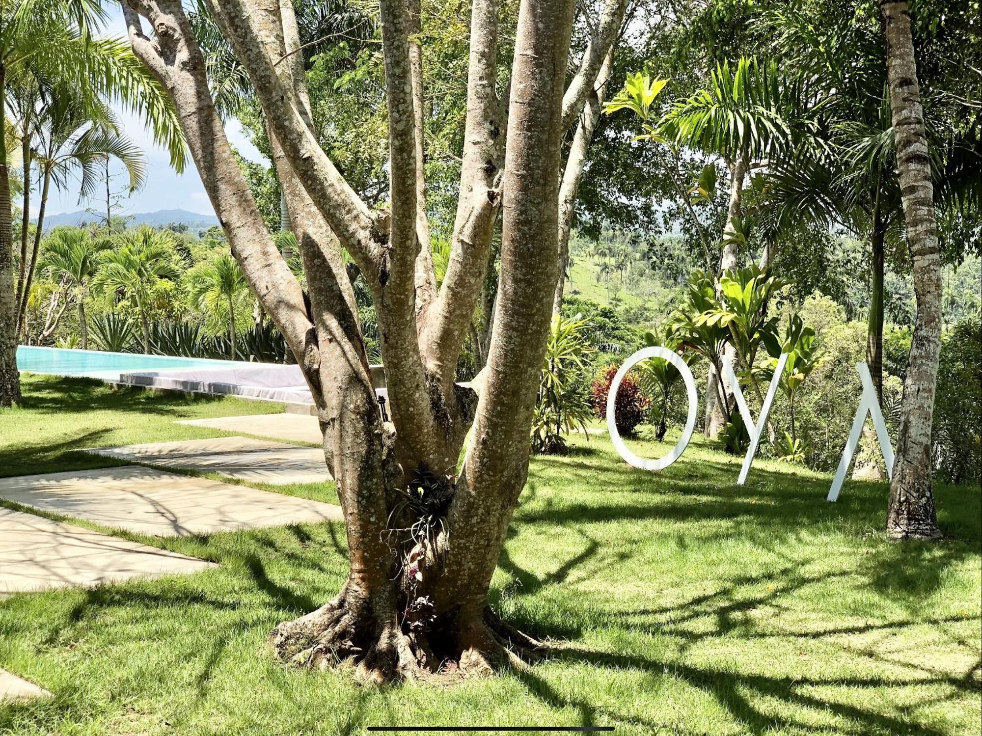 Oya - Wellness Eco Resort & Retreat Jamao al Norte エクステリア 写真